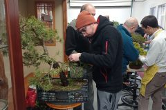 IMG_20260118_101754