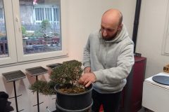 IMG_20260118_101841