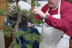 IMG_20260118_101916