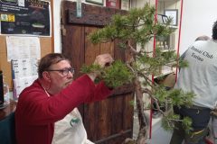 IMG_20260118_104807