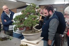 IMG_20260122_220631