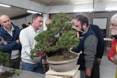 IMG_20260122_220635