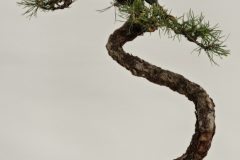 IMG_20260122_233539