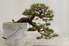 IMG_20260122_235937
