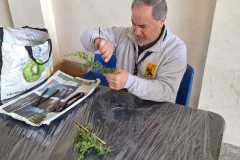 IMG-20240324-WA0002