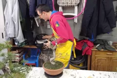 1706599720426