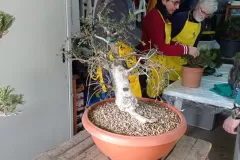 1706599721021