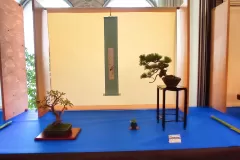 1698002402526