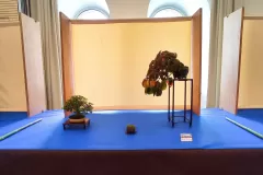1698002402564
