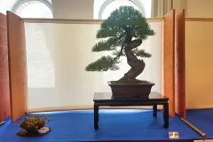 1698002402678