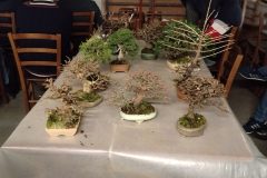 IMG_20260219_210238