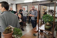 IMG_20260219_224617