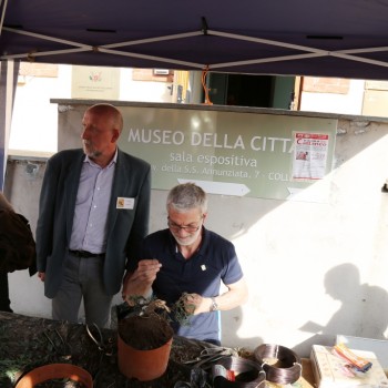 Follia in Fiore 2015