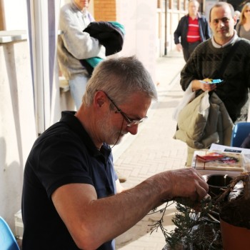 Follia in Fiore 2015