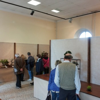Follia in Fiore 2015