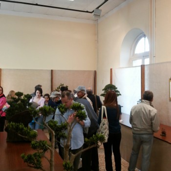Follia in Fiore 2015