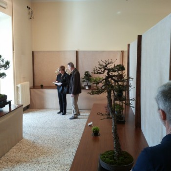 Follia in Fiore 2015