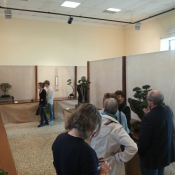 Follia in Fiore 2015