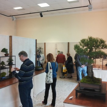 Follia in Fiore 2015