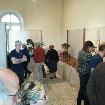 Follia in Fiore 2015